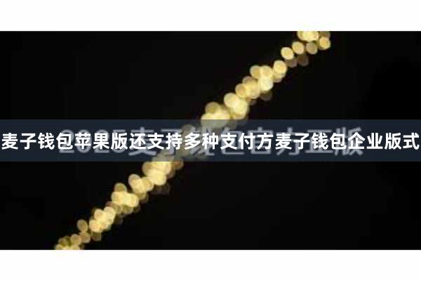 麦子钱包苹果版还支持多种支付方麦子钱包企业版式