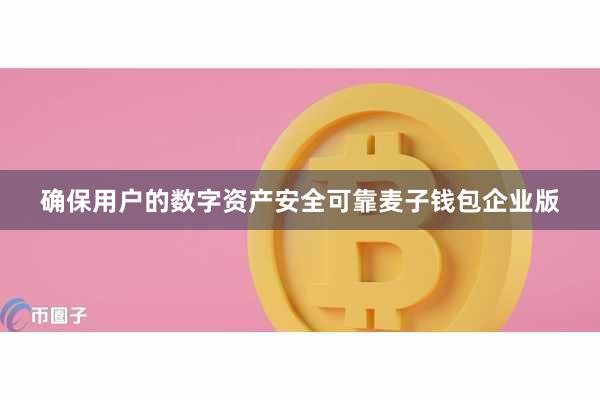 确保用户的数字资产安全可靠麦子钱包企业版