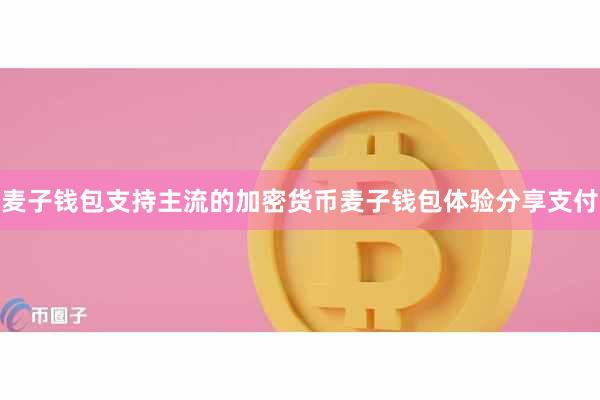 麦子钱包支持主流的加密货币麦子钱包体验分享支付