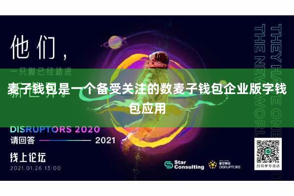 麦子钱包是一个备受关注的数麦子钱包企业版字钱包应用