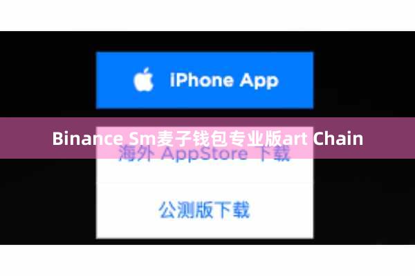 Binance Sm麦子钱包专业版art Chain