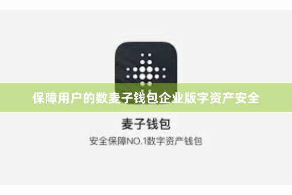 保障用户的数麦子钱包企业版字资产安全