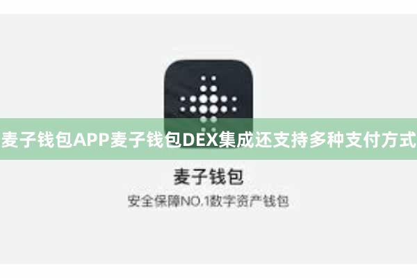 麦子钱包APP麦子钱包DEX集成还支持多种支付方式