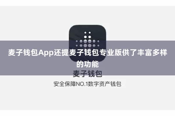 麦子钱包App还提麦子钱包专业版供了丰富多样的功能