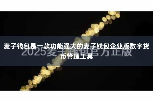 麦子钱包是一款功能强大的麦子钱包企业版数字货币管理工具