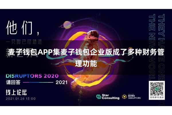 麦子钱包APP集麦子钱包企业版成了多种财务管理功能