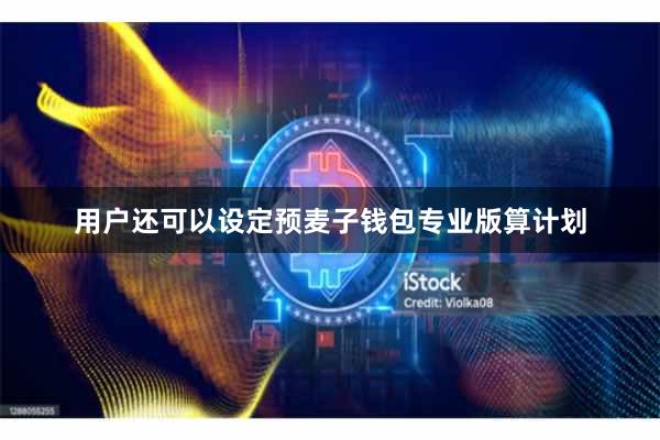 用户还可以设定预麦子钱包专业版算计划