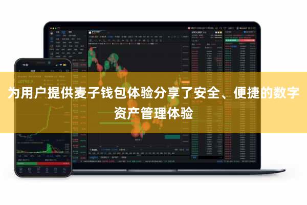 为用户提供麦子钱包体验分享了安全、便捷的数字资产管理体验