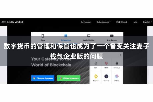 数字货币的管理和保管也成为了一个备受关注麦子钱包企业版的问题