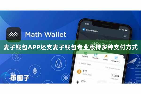 麦子钱包APP还支麦子钱包专业版持多种支付方式