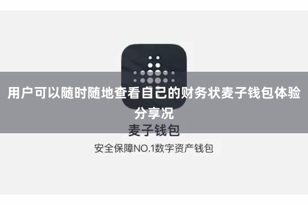 用户可以随时随地查看自己的财务状麦子钱包体验分享况