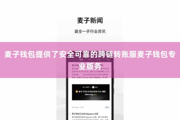 麦子钱包提供了安全可靠的跨链转账服麦子钱包专业版务