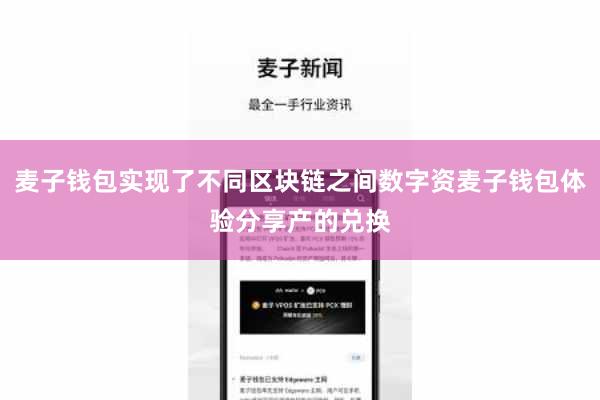 麦子钱包实现了不同区块链之间数字资麦子钱包体验分享产的兑换
