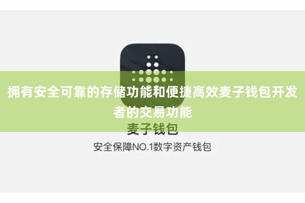 拥有安全可靠的存储功能和便捷高效麦子钱包开发者的交易功能