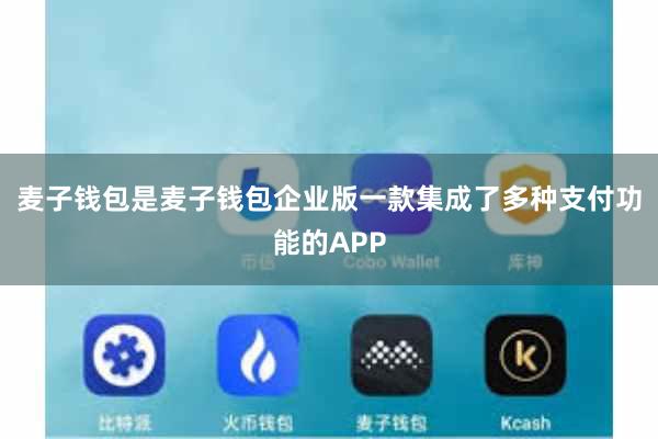 麦子钱包是麦子钱包企业版一款集成了多种支付功能的APP