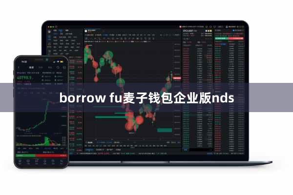 borrow fu麦子钱包企业版nds