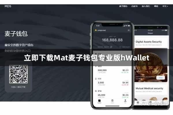 立即下载Mat麦子钱包专业版hWallet