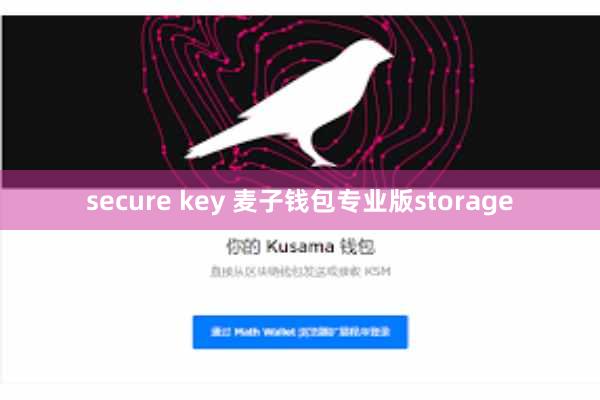 secure key 麦子钱包专业版storage