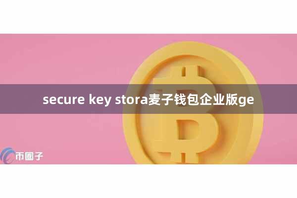 secure key stora麦子钱包企业版ge