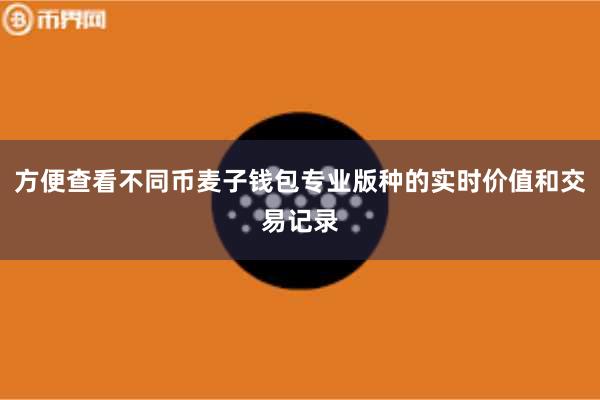 方便查看不同币麦子钱包专业版种的实时价值和交易记录