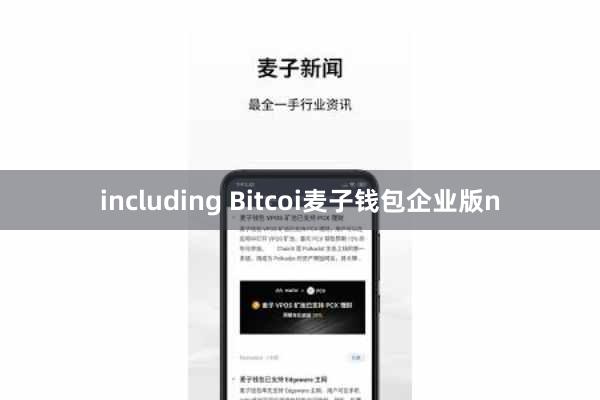 including Bitcoi麦子钱包企业版n