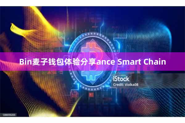 Bin麦子钱包体验分享ance Smart Chain