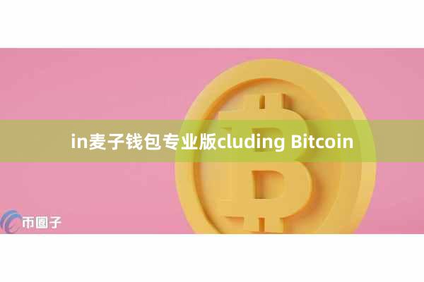 in麦子钱包专业版cluding Bitcoin