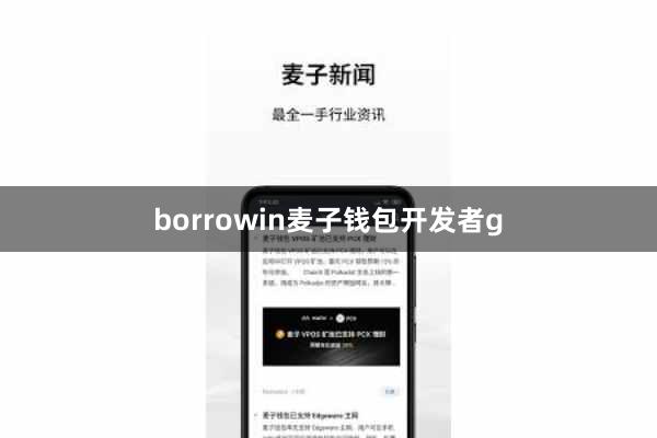 borrowin麦子钱包开发者g