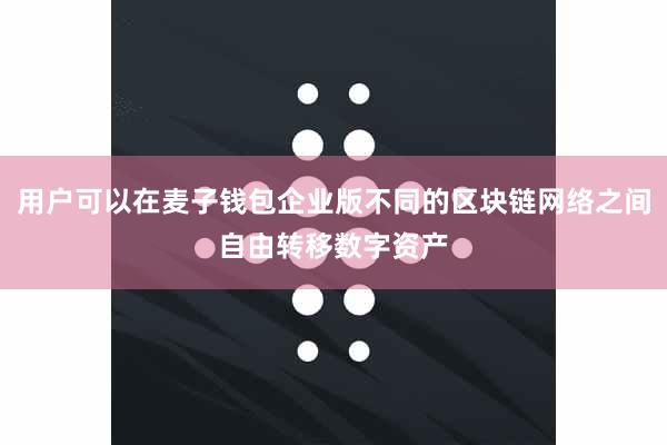 用户可以在麦子钱包企业版不同的区块链网络之间自由转移数字资产
