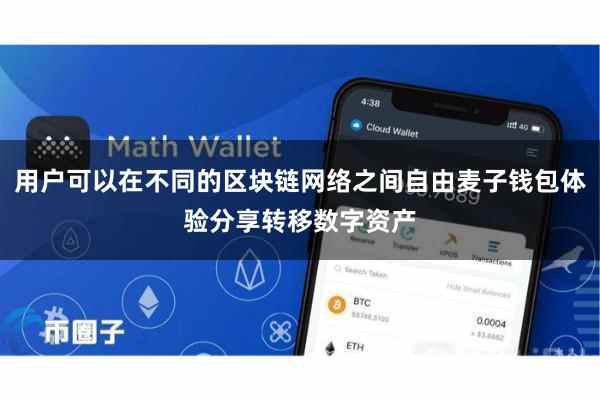 用户可以在不同的区块链网络之间自由麦子钱包体验分享转移数字资产
