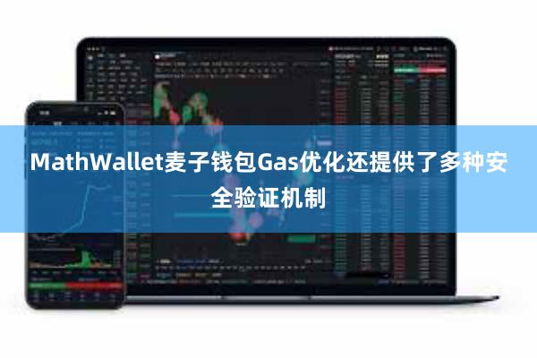 MathWallet麦子钱包Gas优化还提供了多种安全验证机制