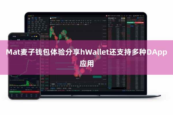 Mat麦子钱包体验分享hWallet还支持多种DApp应用
