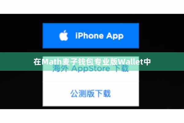 在Math麦子钱包专业版Wallet中