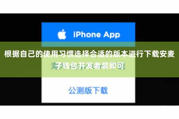 根据自己的使用习惯选择合适的版本进行下载安麦子钱包开发者装即可