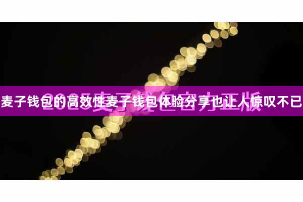 麦子钱包的高效性麦子钱包体验分享也让人惊叹不已