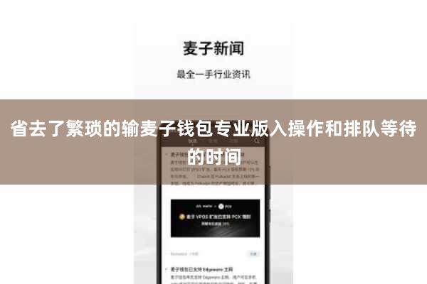 省去了繁琐的输麦子钱包专业版入操作和排队等待的时间