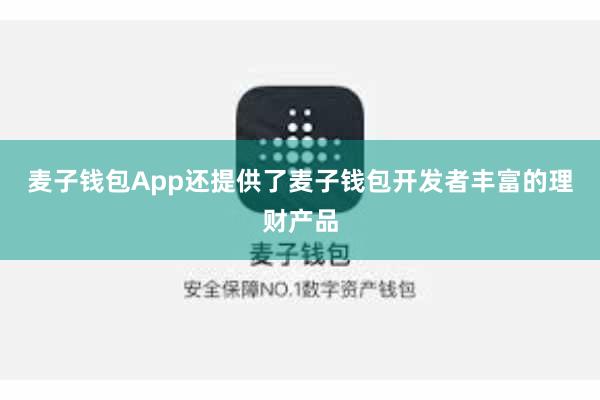 麦子钱包App还提供了麦子钱包开发者丰富的理财产品