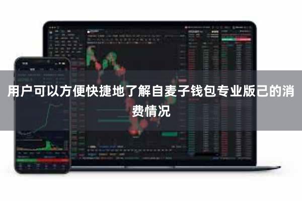 用户可以方便快捷地了解自麦子钱包专业版己的消费情况