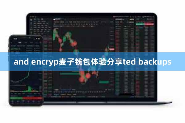 and encryp麦子钱包体验分享ted backups