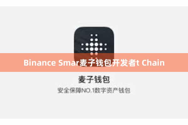 Binance Smar麦子钱包开发者t Chain