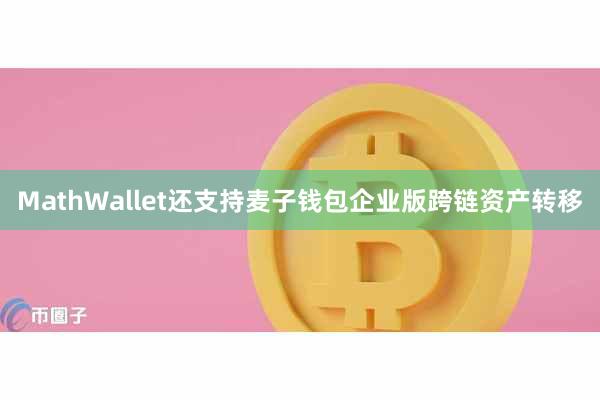 MathWallet还支持麦子钱包企业版跨链资产转移
