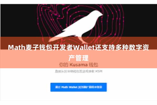 Math麦子钱包开发者Wallet还支持多种数字资产管理